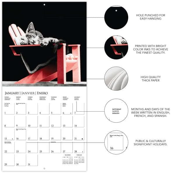 Graphique 2023 Classic Cats Calendar Calendar | 7 ”x 7” | נייר עבה | מארגן בית ומשרדים | רשת חודשית